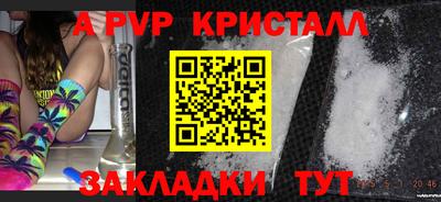 стаф Нальчик