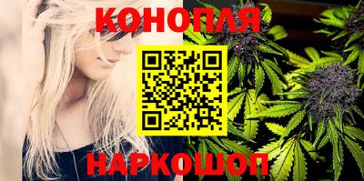 стаф Нальчик